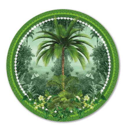 Licence Disc Sticker - Cape to Congo - Emerald - Search Results