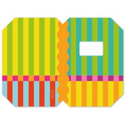 Designer Book Cover Set - Stripe Society