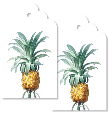Tag Set - King Pine - Search Results